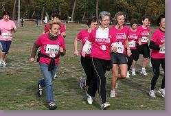 Gujan cross 28.11.09 01 078 * 640 x 427 * (133KB)
